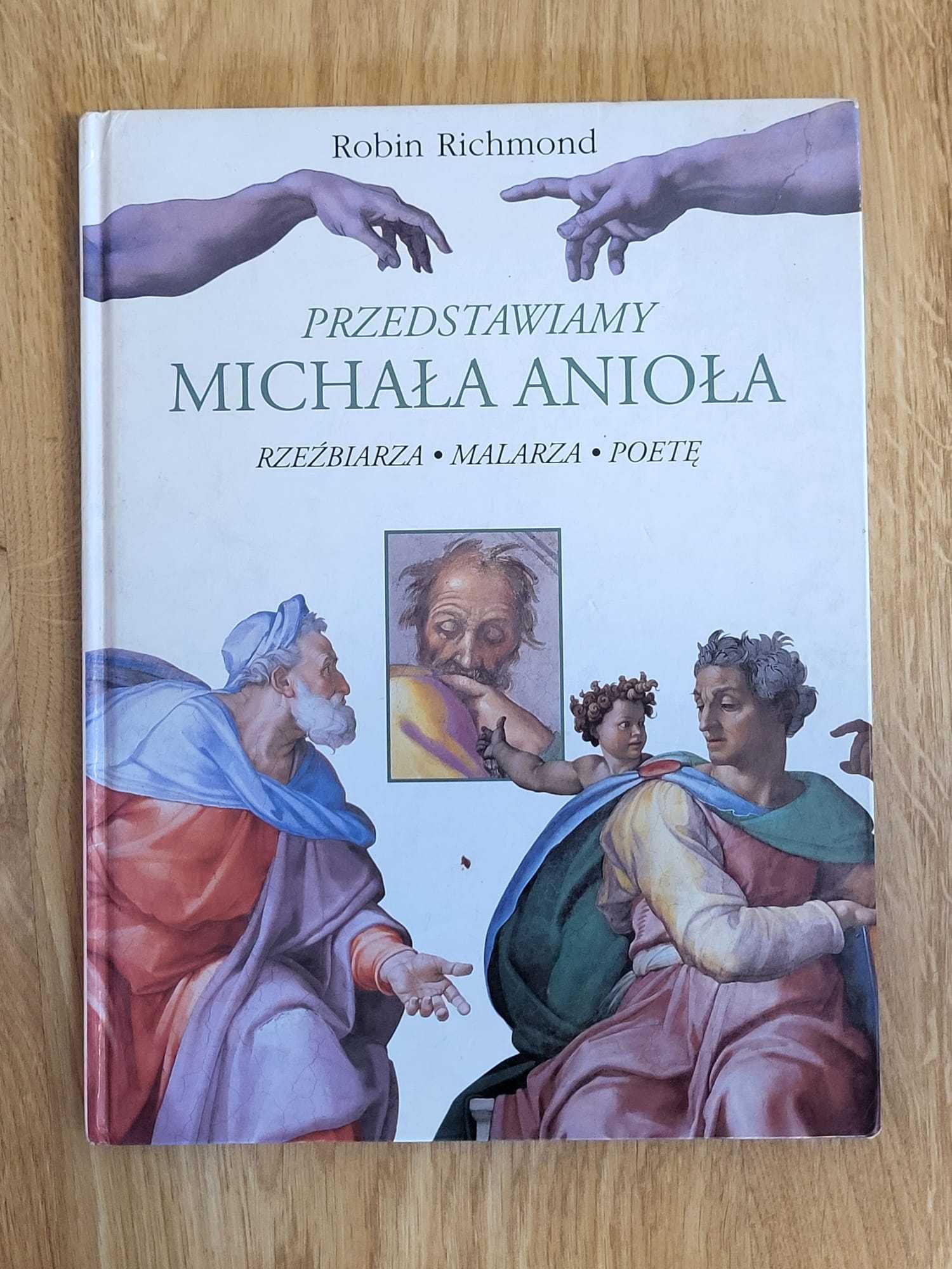 Przedstawiamy Michała Anioła - Robin Richmond