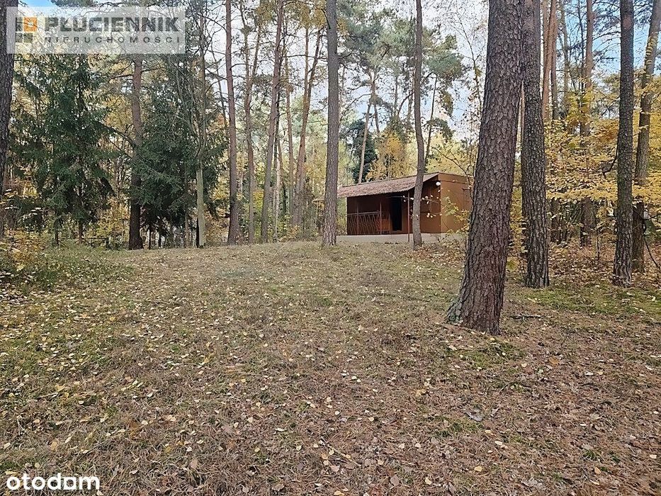 Sokolniki Las, działka na sprzedaż
