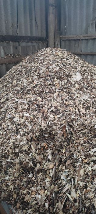 Щепа  (паливна! )