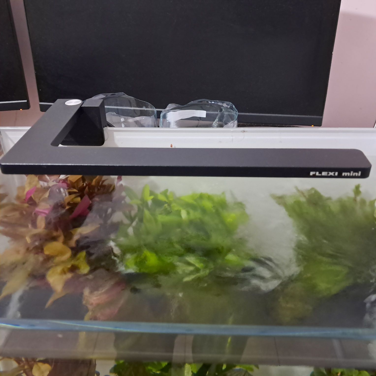 azoo flexi mini led