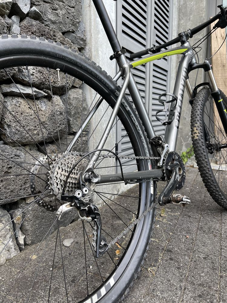 Specialized Rockhooper Expert 2018 (L) + Rolo estático + roda de rolo