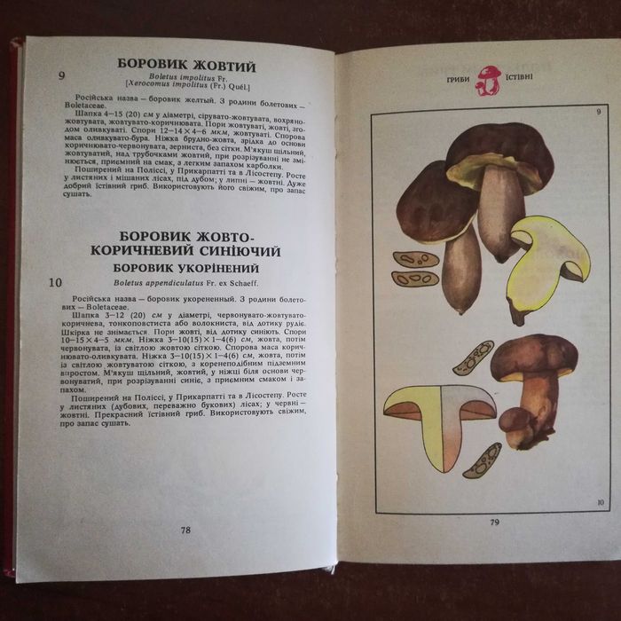 Зерова М. Гриби (їстівні, умовно їстівні, неїстівні, отруйні)
