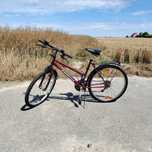 Czerwony Rower Esperia