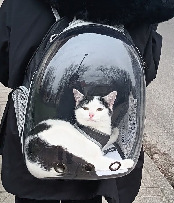 Plecak transporter dla kota psa chomika *NOWY*