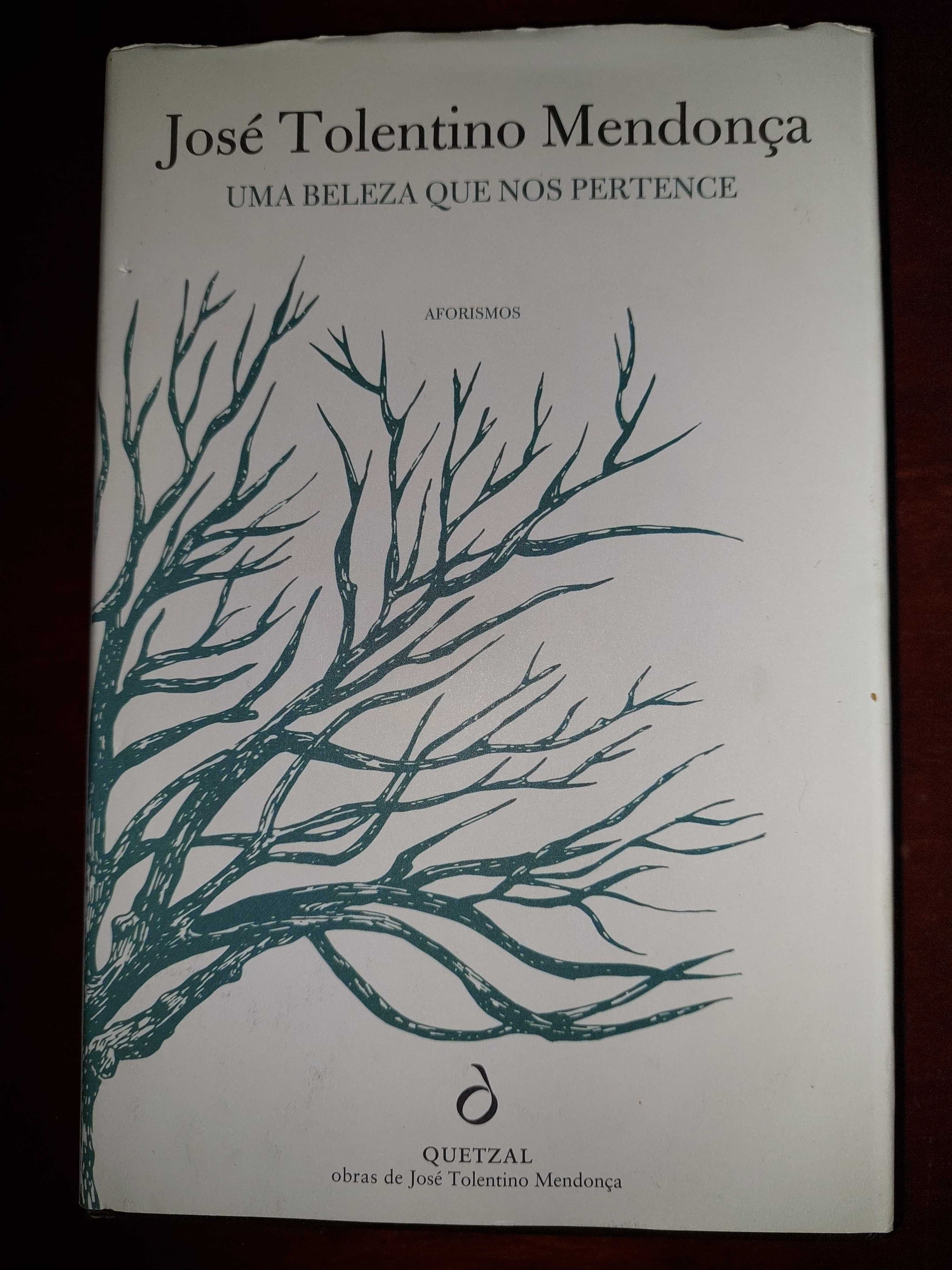 Livro "Uma beleza que nos pertence"