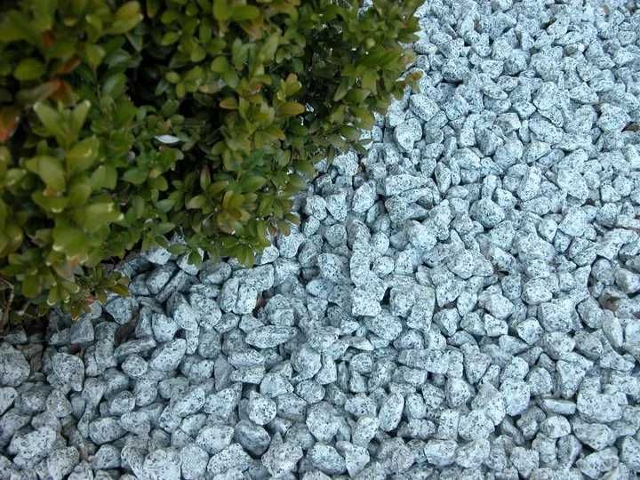 Dalmatyńczyk 16-22 granit kruszywo ozdobne kamień ogrodowy