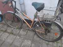 Rower stary oddam za darmo