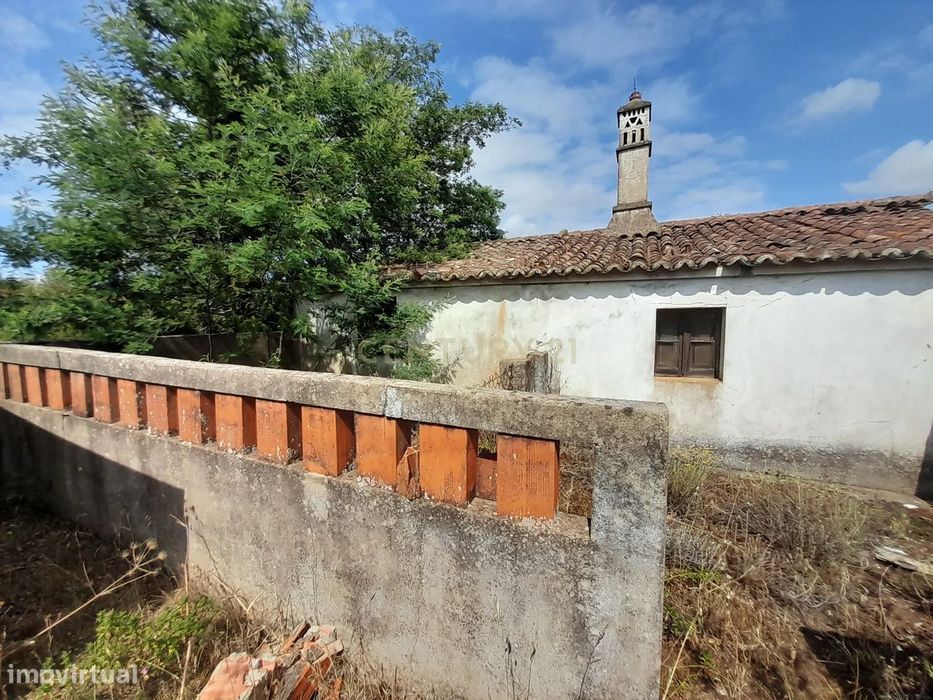 Herdade em Santana da Serra de 14 Hectares com casa de 100m2 para recu