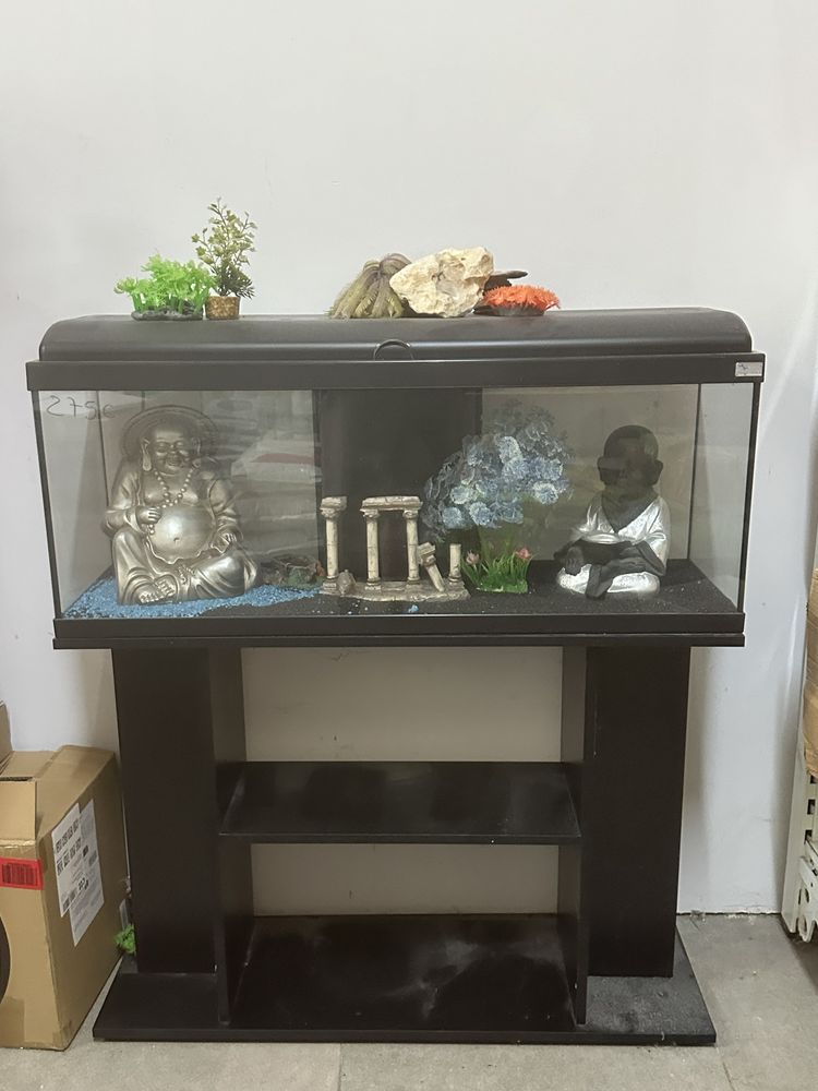 Aquario para peixes novo