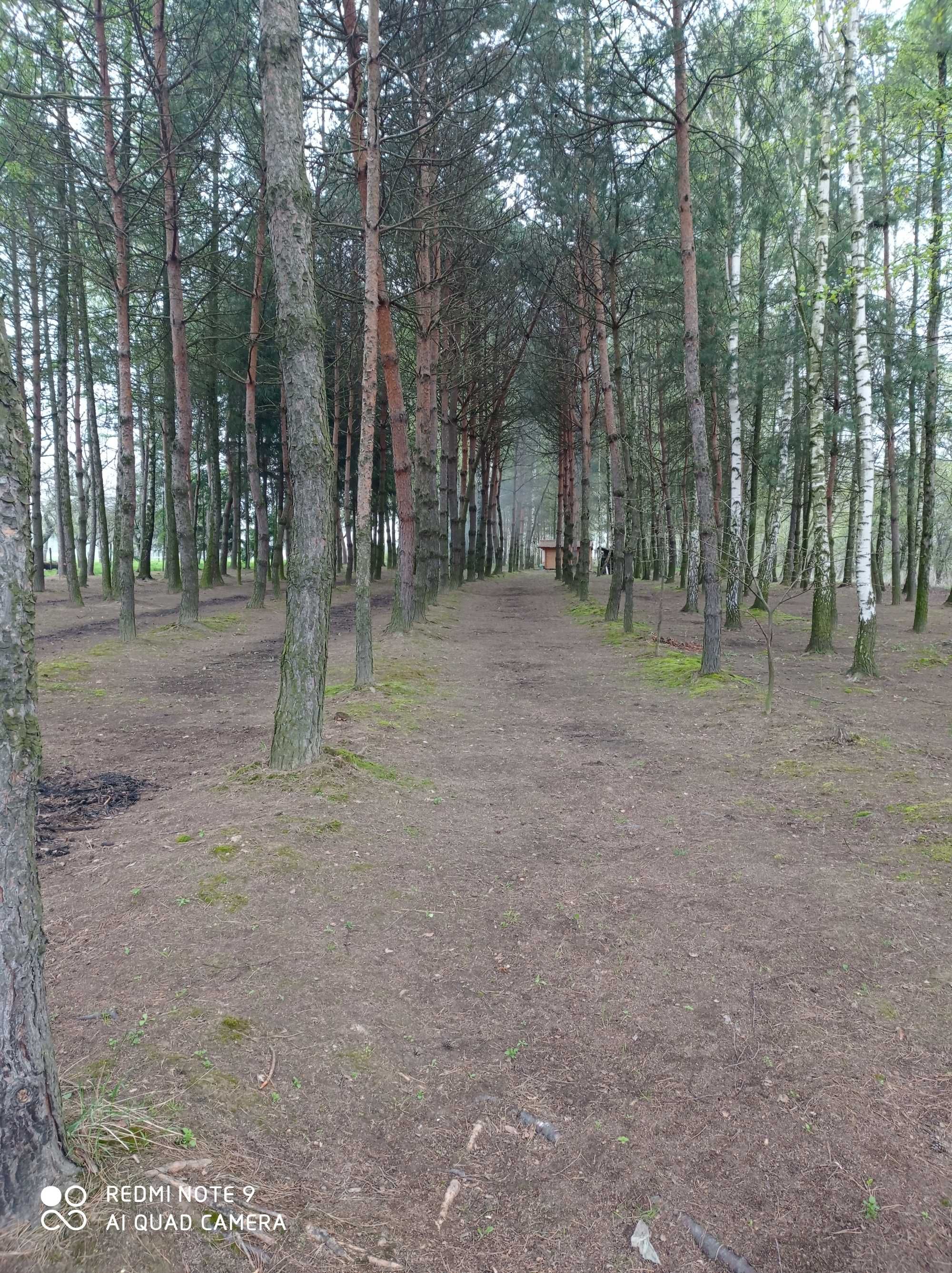 Działka rekreacyjna, budowlana jedyna taka w okolicy centrum Rzuchowa.