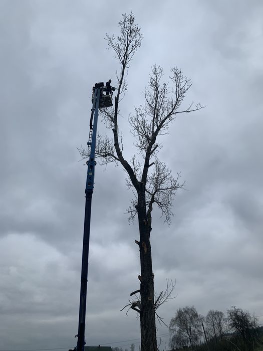 Podnośnik koszowy GENIE TZ 50