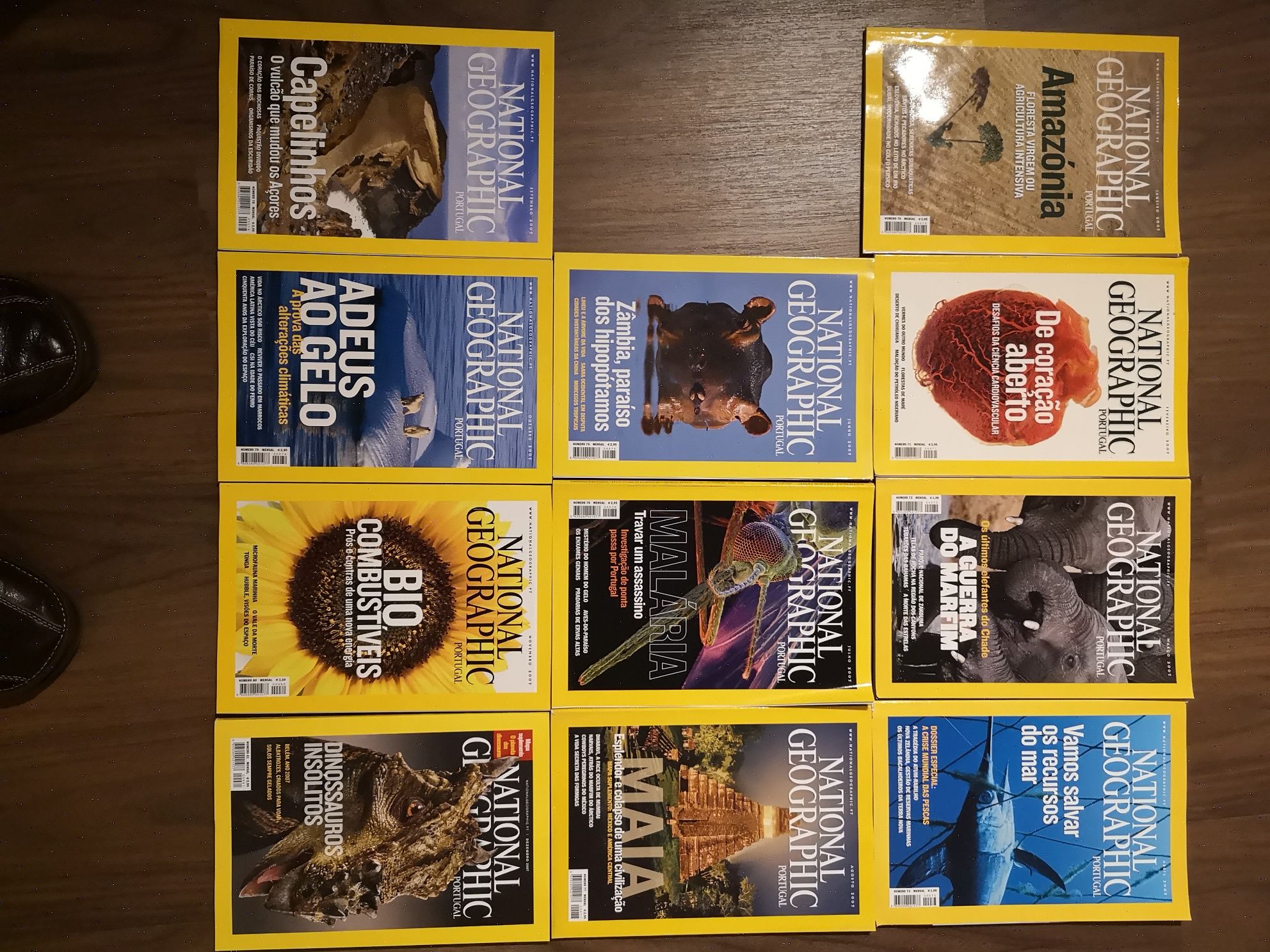 National Geographic - várias revistas