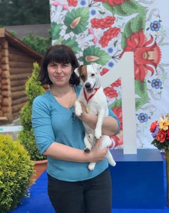 В'язка Джек Рассел тер'єр КСУ