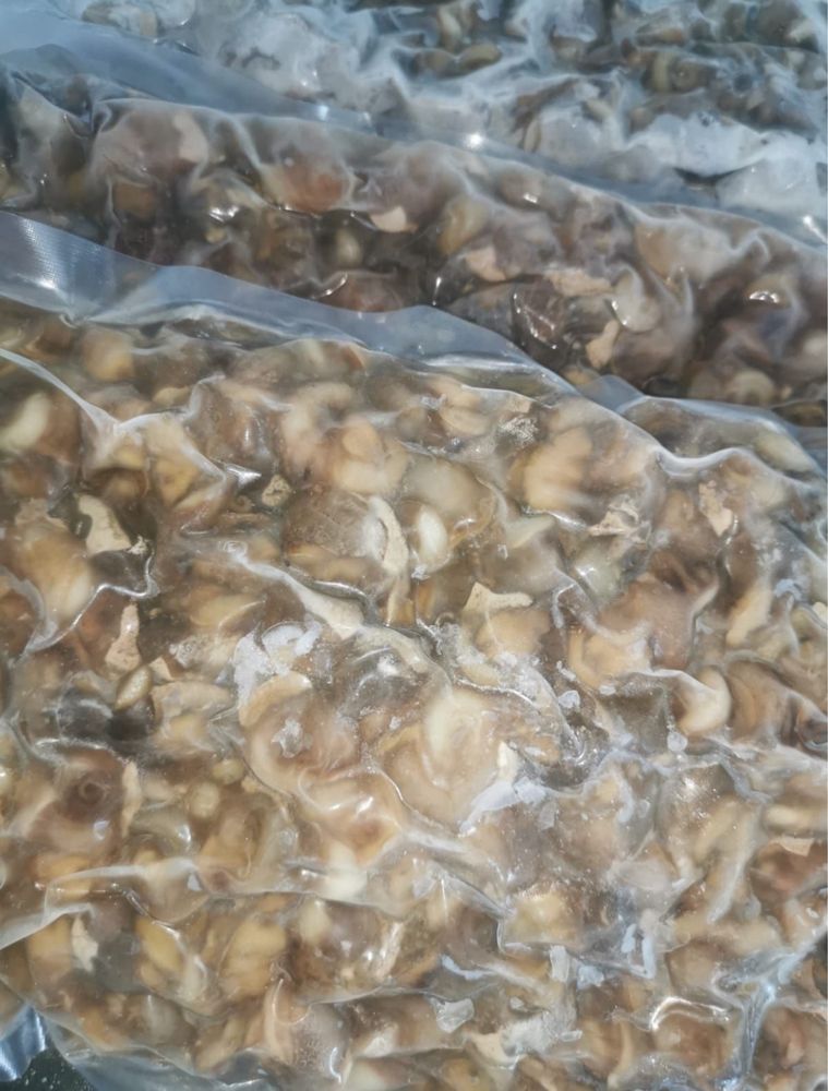 Філе, мясо равлика Hellx Aspersa Muller