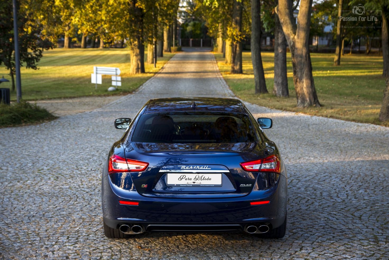 MASERATI samochód Auto do ślubu - 3 modele