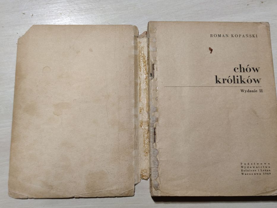 Chów królików Roman Kopański