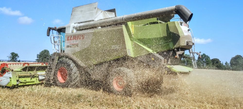 Usługa zbioru zboża, rzepaku, kukurydzy