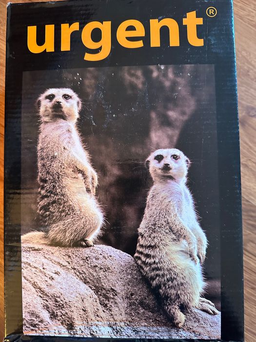 Półbuty ochronne marki URGENT damskie