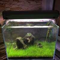Okazja KNO3 azot nawóz roślin akwarium azotany azotan
