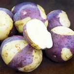Batata TIGRE PRETA, deliciosa para comêr