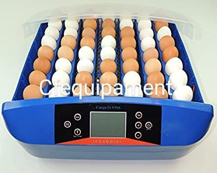 Chocadeira 60 ovos automática-NOVA