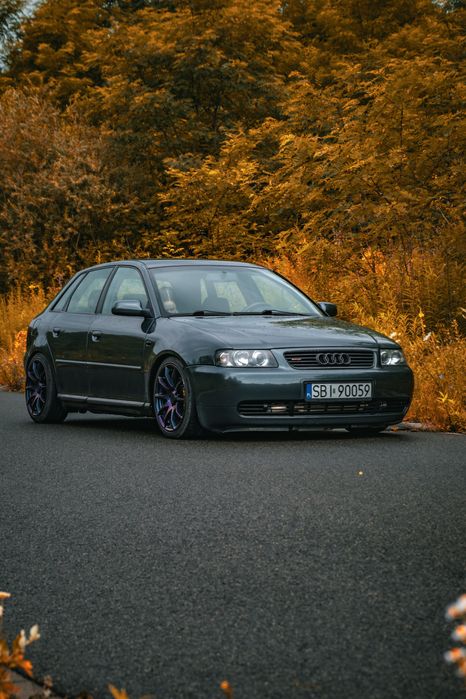 Audi a3 1.9 tdi quattro
