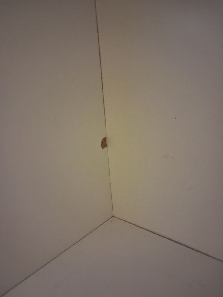 Dwa regały IKEA.