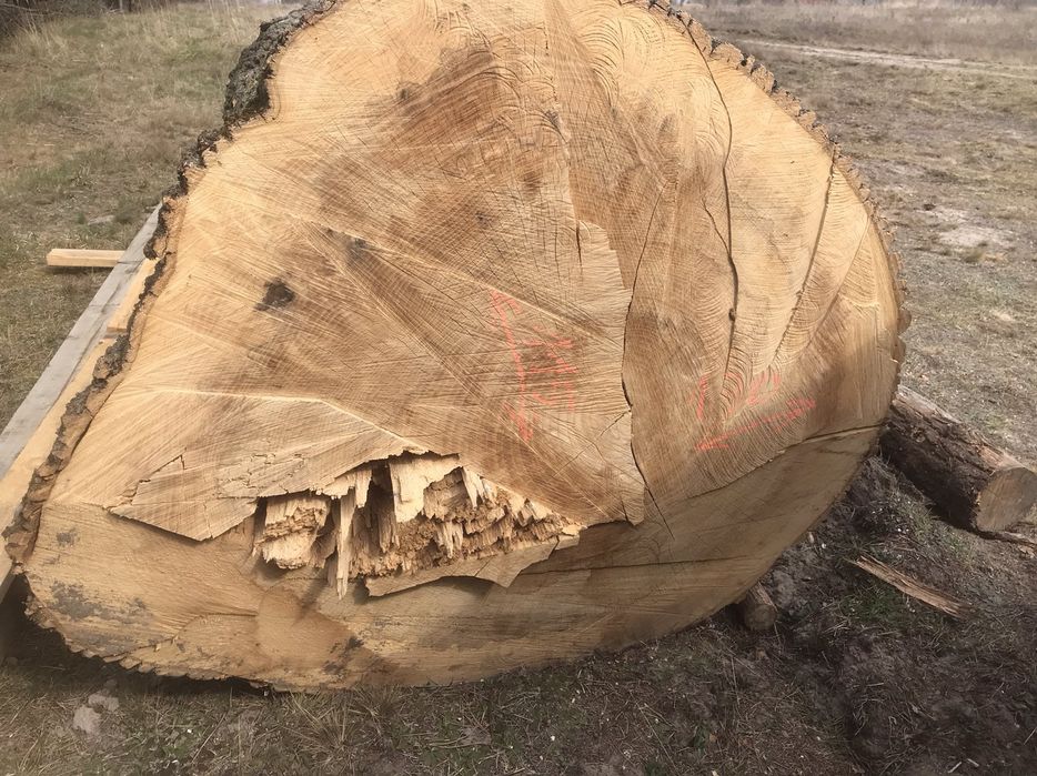 Слеби з ясена шириною метер +