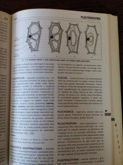 Encyklopedia Biologia