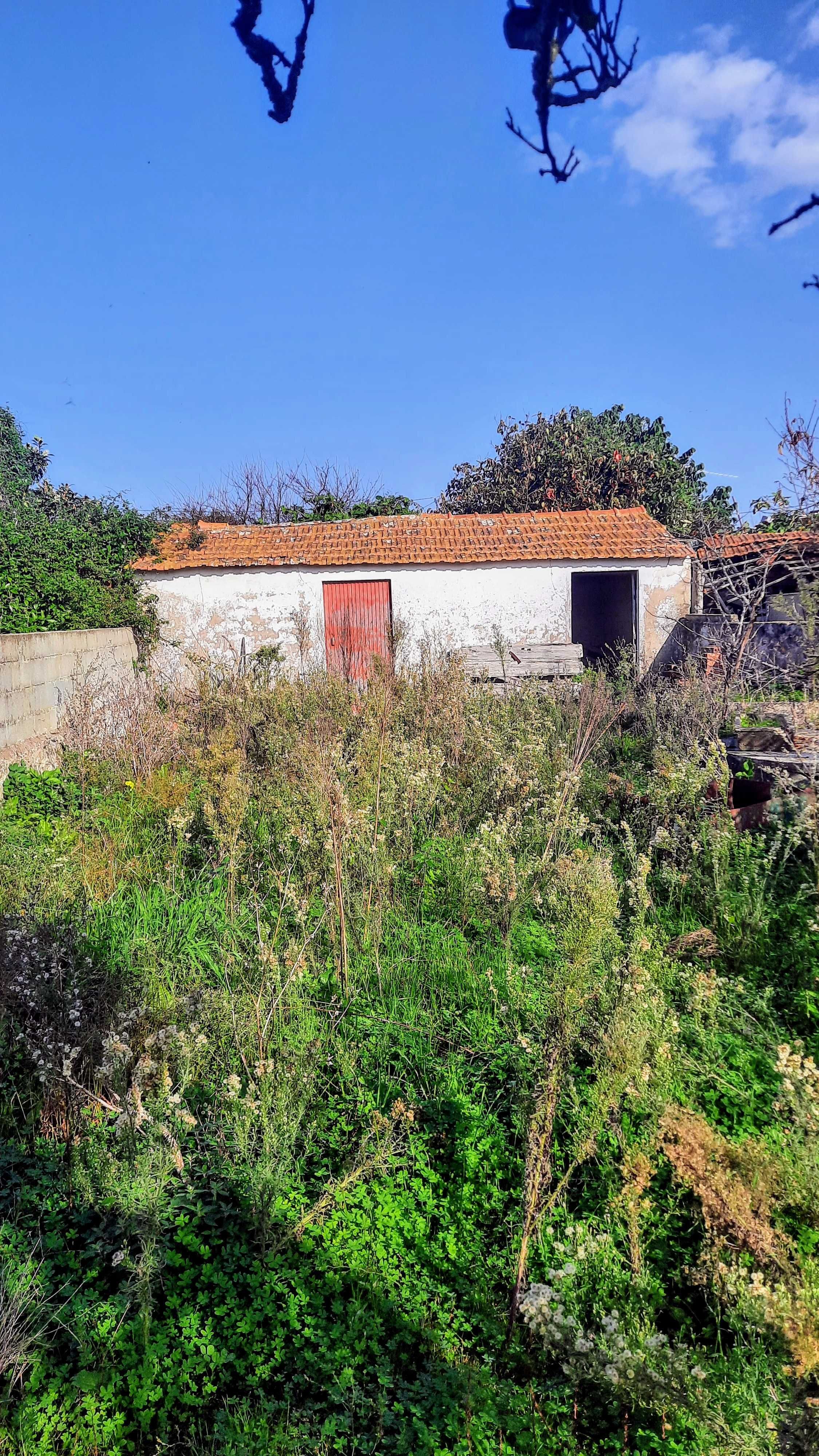 Terreno URBANO  para construção