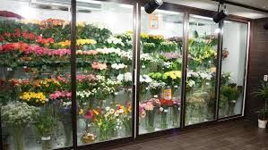 Вітрина для продажу квітів, холодильна вітрина для квітів Луцьк Рівне