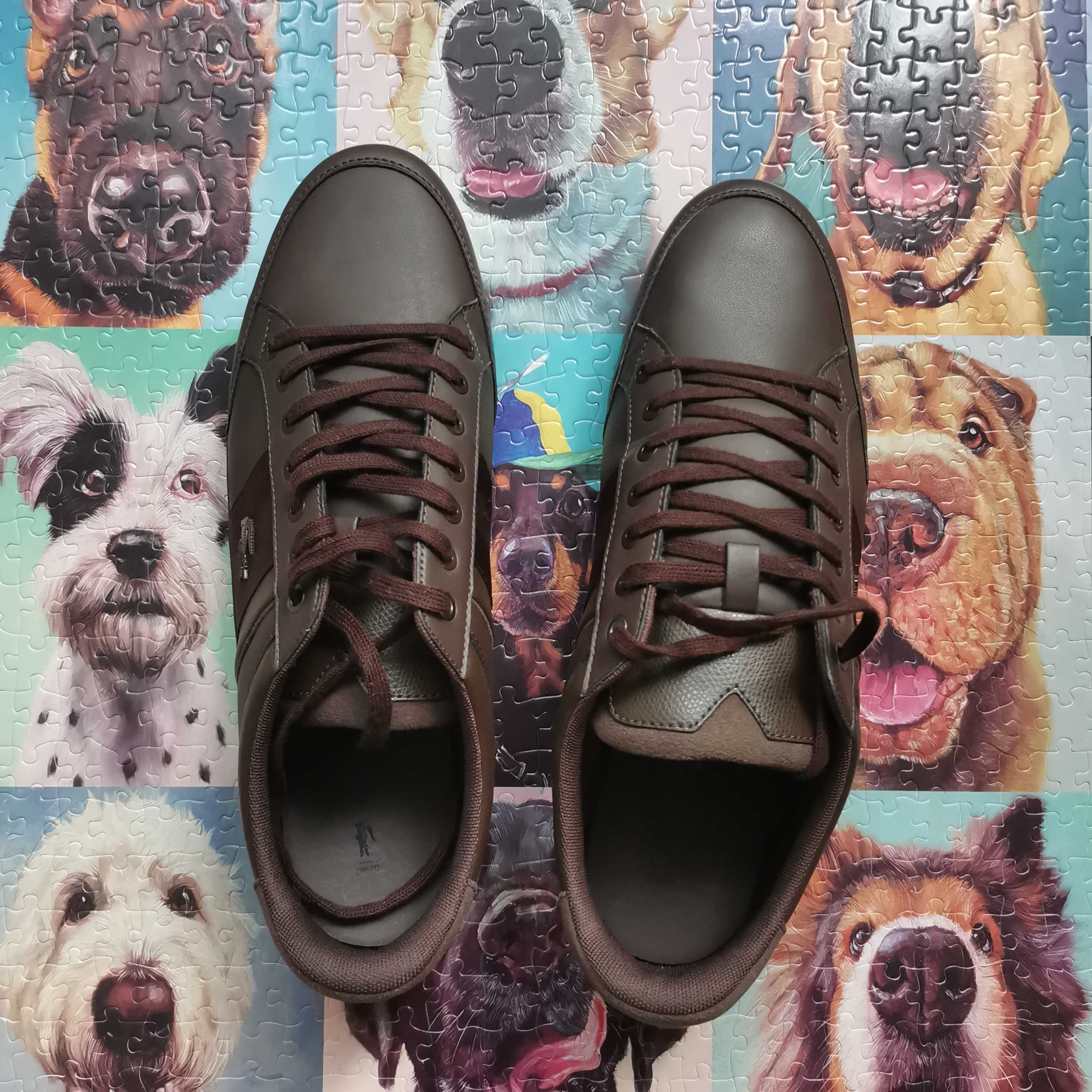 Sapatos Lacoste Chaymon 119 2 CMA castanho