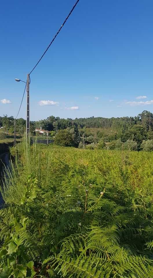 Lote de Terreno p/venda em Cavernães/Viseu