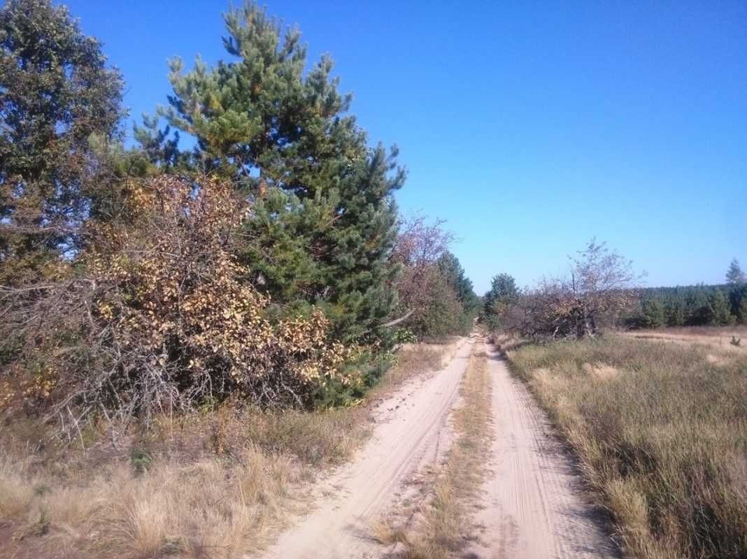 Продам землю, в Бучанском районе, село Соболивка.