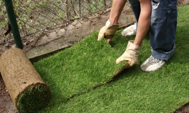 Trawa w rolce 40 m2 dostawa gratis, trawa z rolki,  TRAWNIK PREMIUM