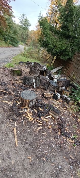 Drewno opałowe tegoroczne