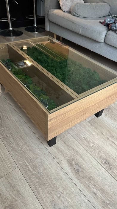 stolik do salonu z mchem chrobotkiem