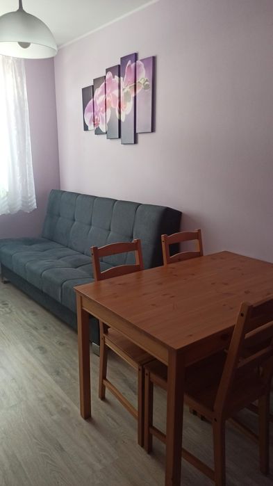 Pokój 1-os. dla mężczyzny Psie Pole, Sycowska