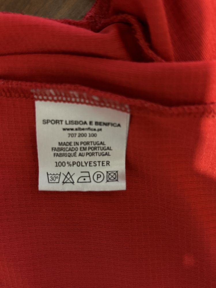 Camisola e calcoes benfica escolas M