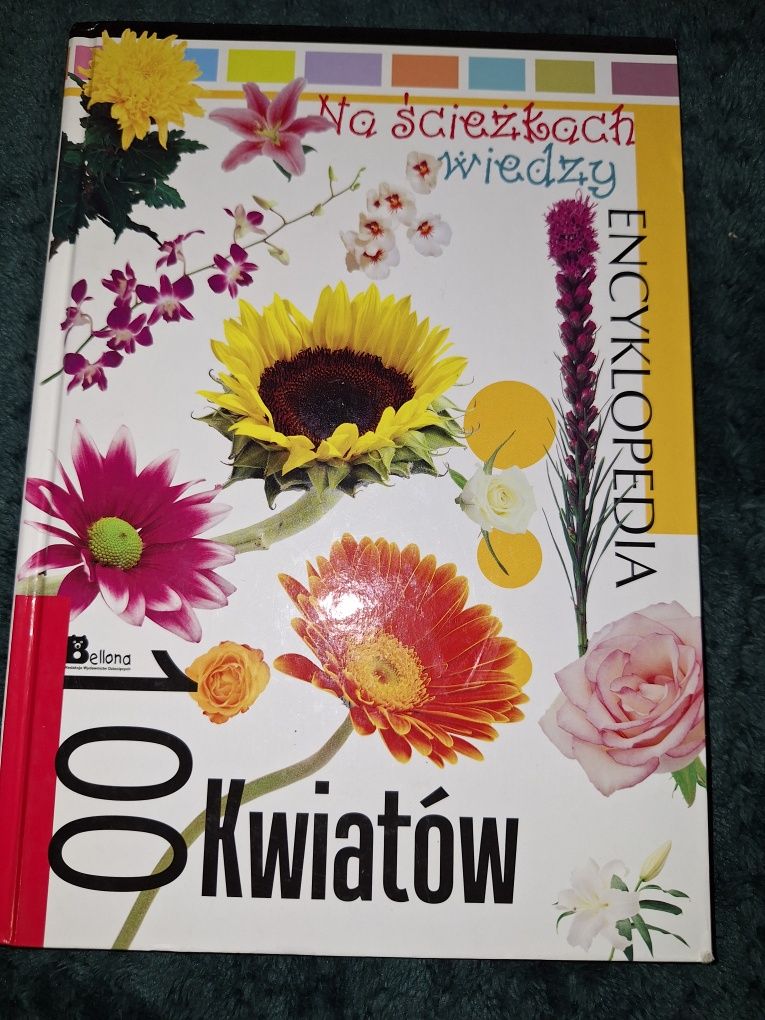 100 kwiatów [BSZSP]