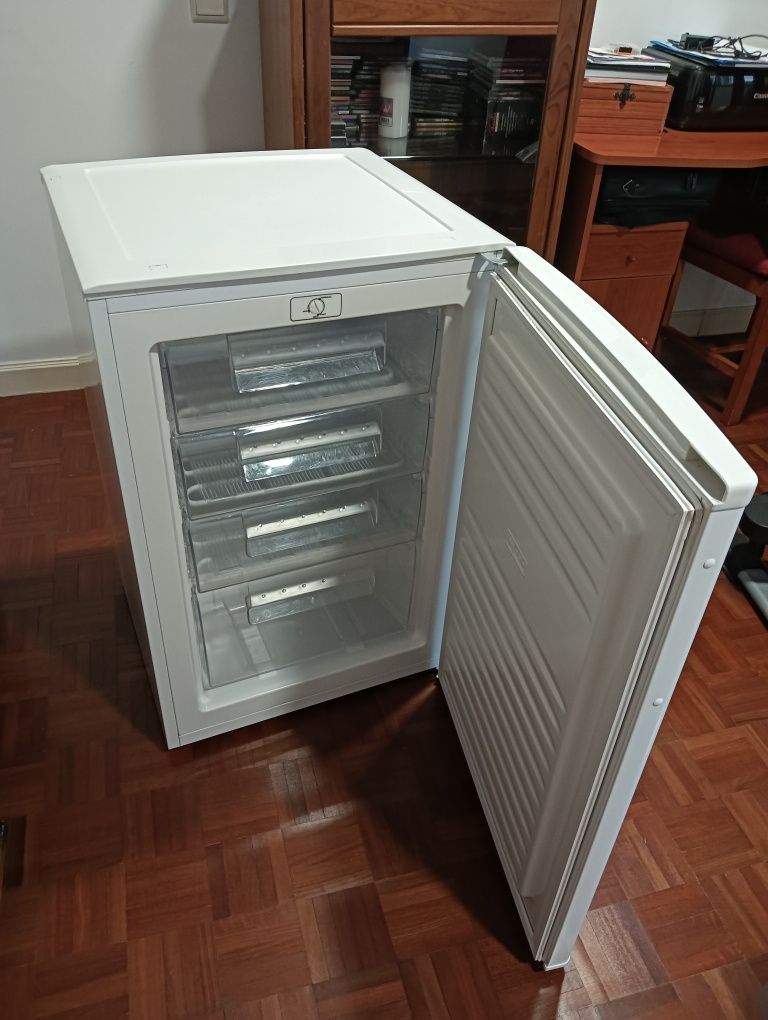 Arca Congeladora vertical 140 LT