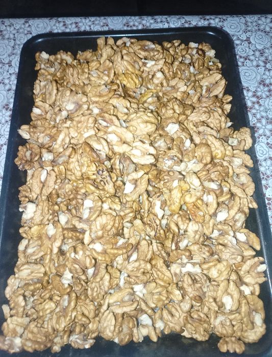 Грецкий орех/волоський горіх 2025