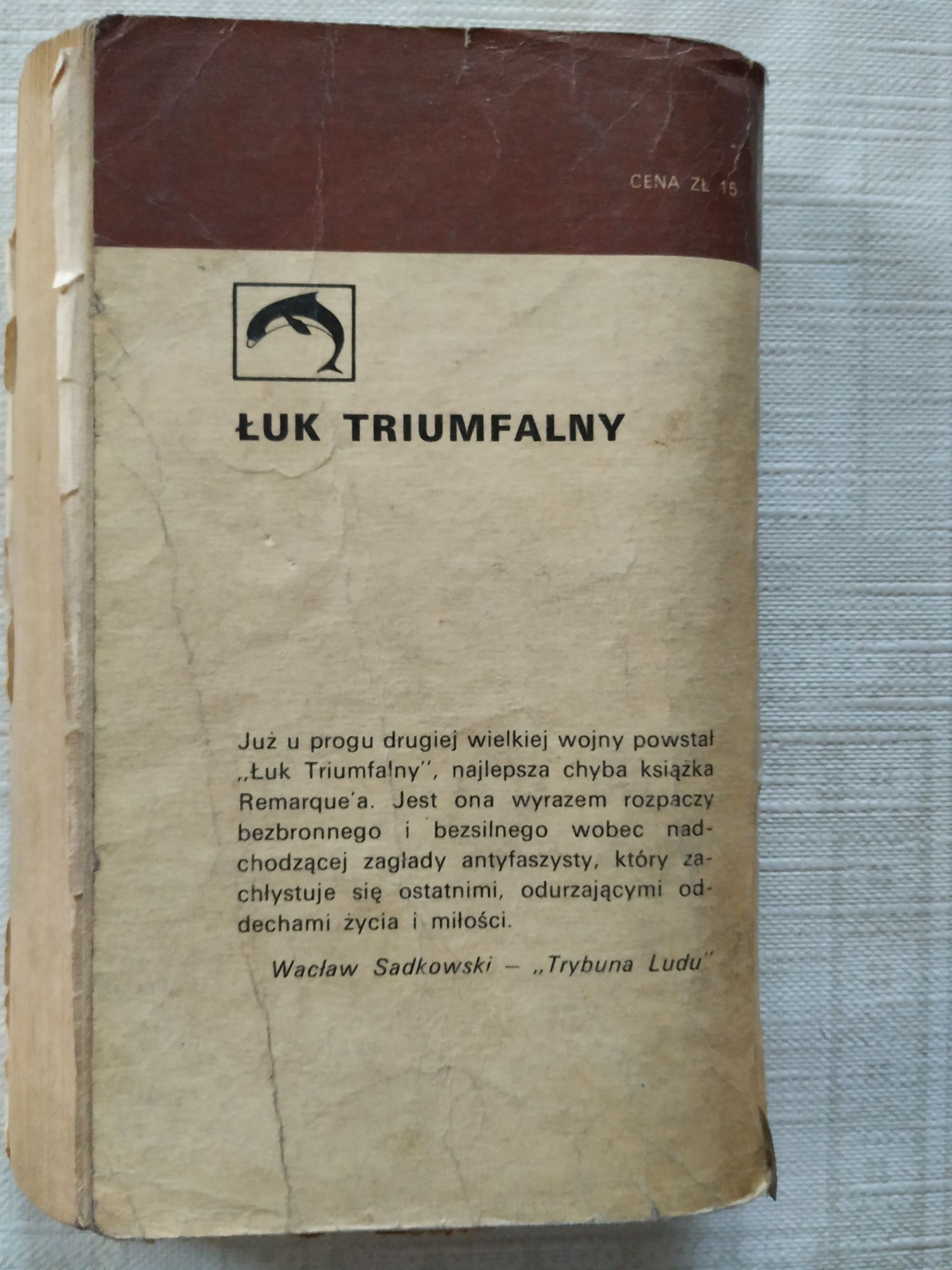 Łuk triumfalny Remarque oraz Na wielki ocean Południowy Robinson