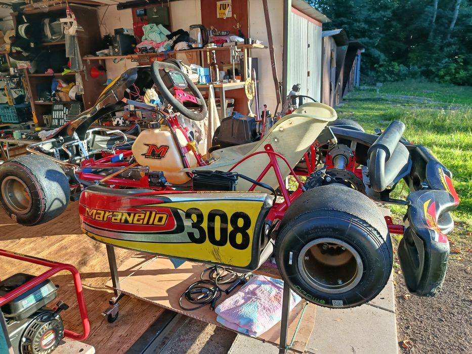 Gokart, kart, karting Rotax
