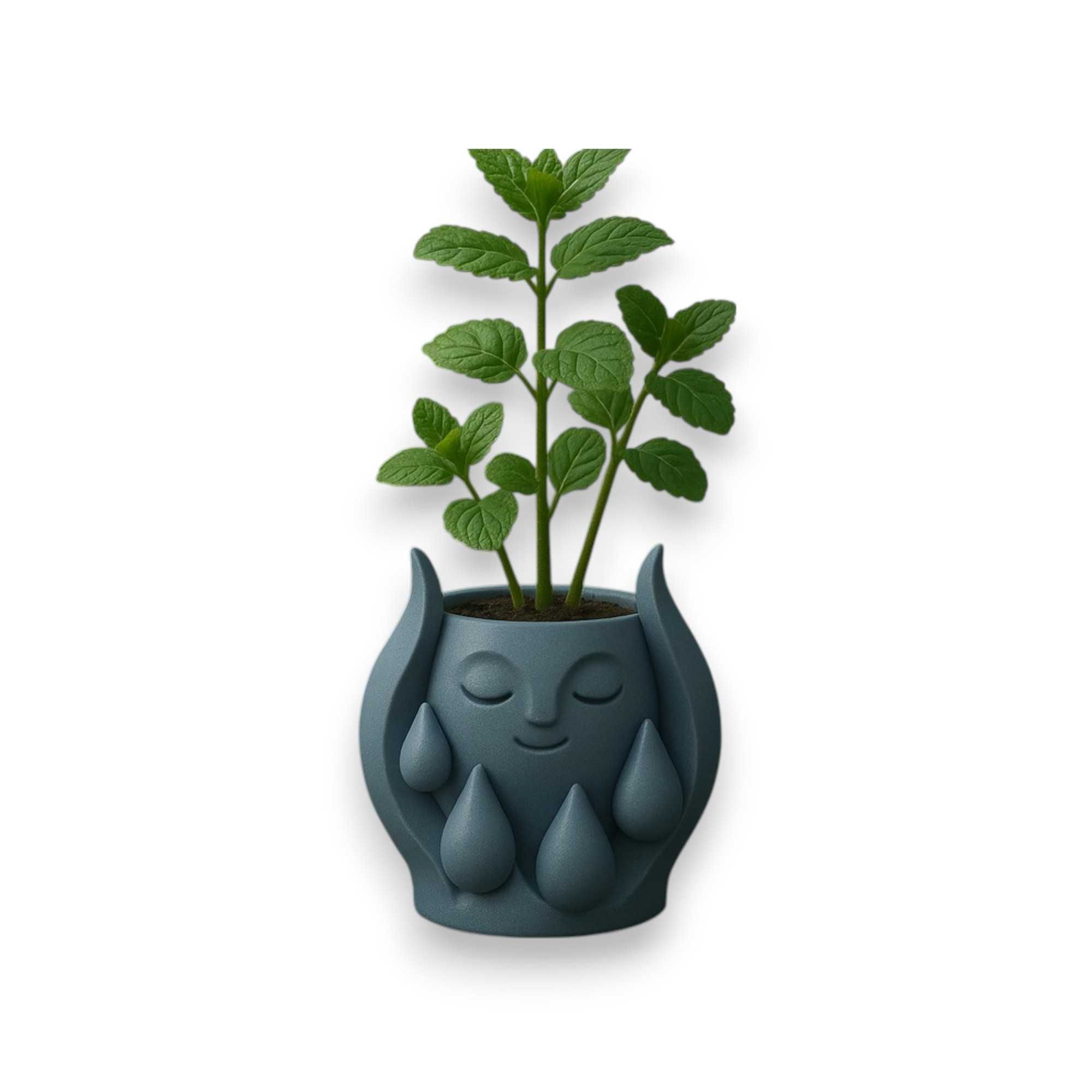 Vasos de Planta Impressão 3D - Diversos Designs Exclusivos