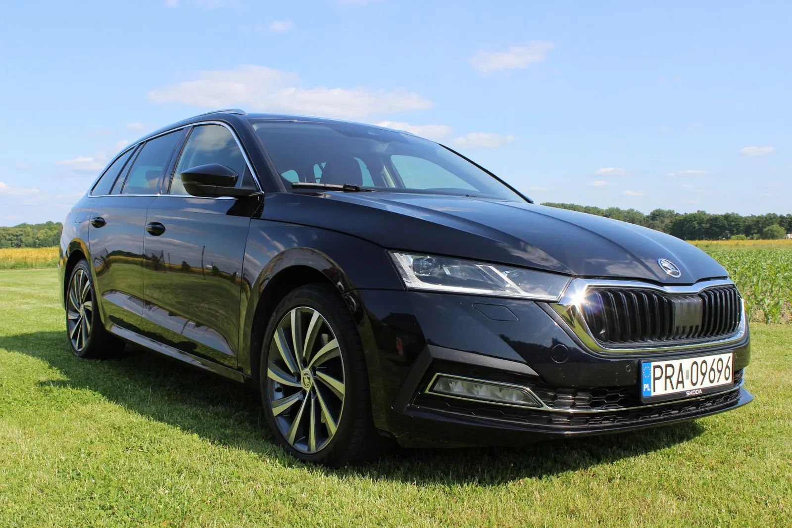 Skoda Octavia *Canton*ACC*Head-Up*Hak*Webasto*CarPlay*Matrix