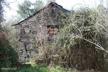 Terreno / Cinfães, Fornelos