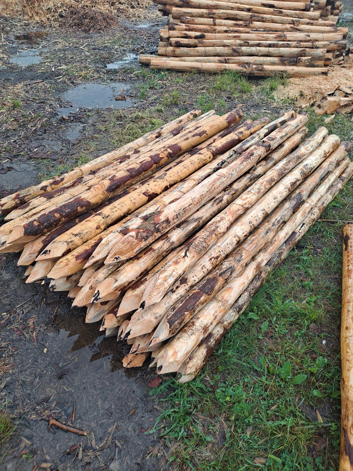 Słupki ogrodzeniowe drewniane stemple budowlane paliki kołki iglaste