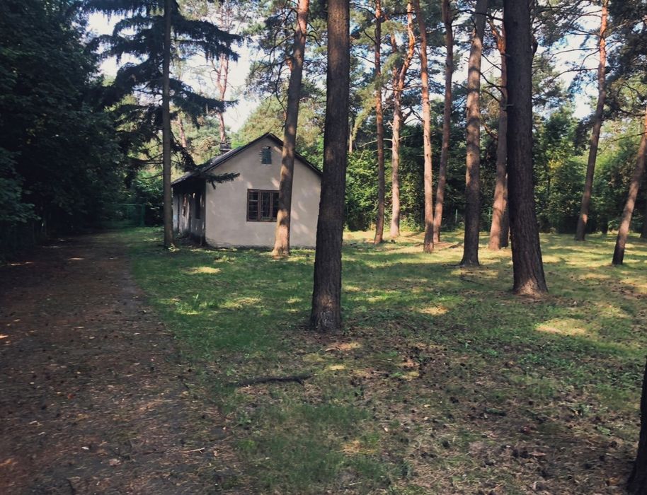 Виробничо-складські приміщення для будь-якого виду бізнесу м.Броди