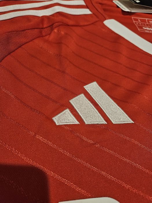 Camisola Benfica nova